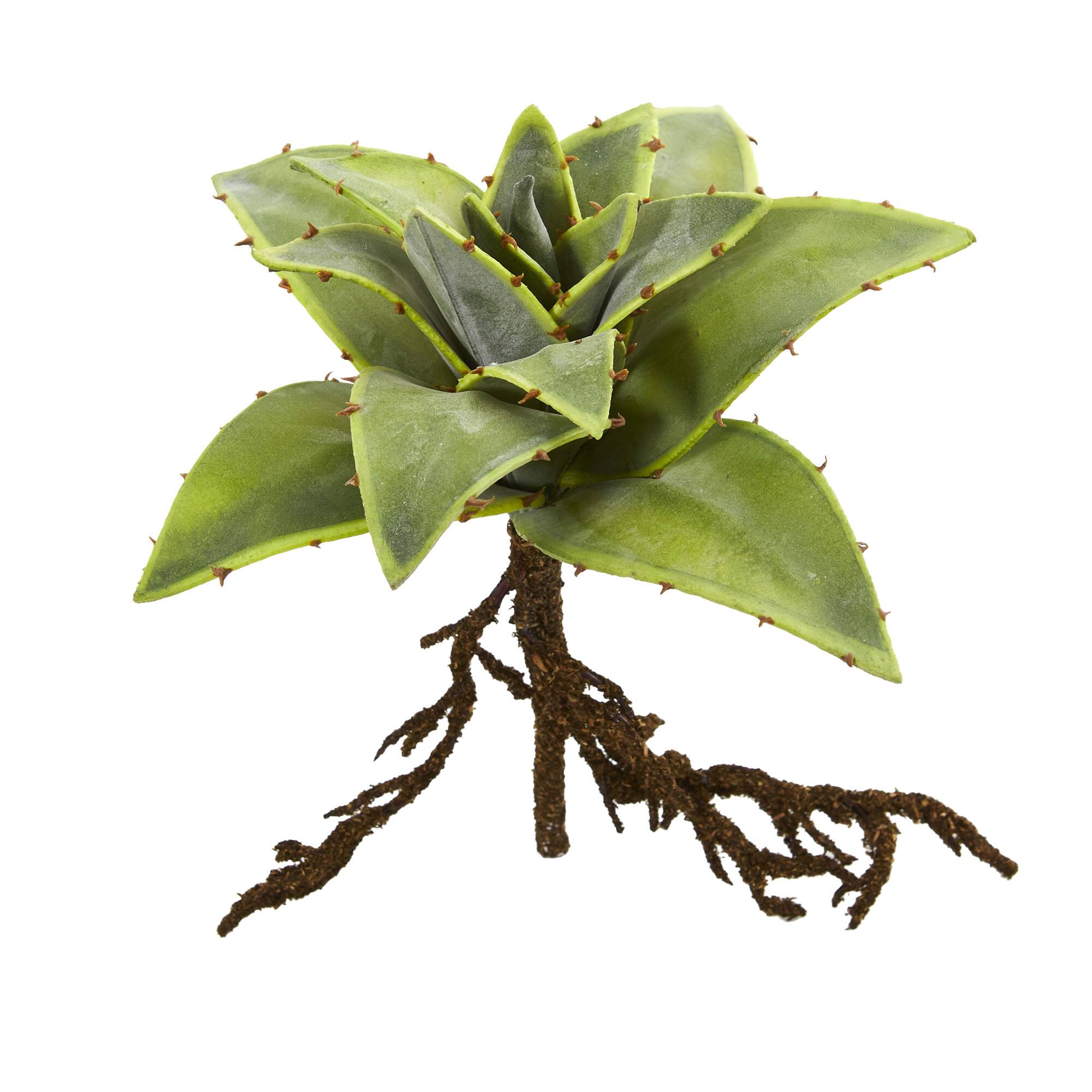 10" Succulent Artificial Plant with Roots, 3ct.